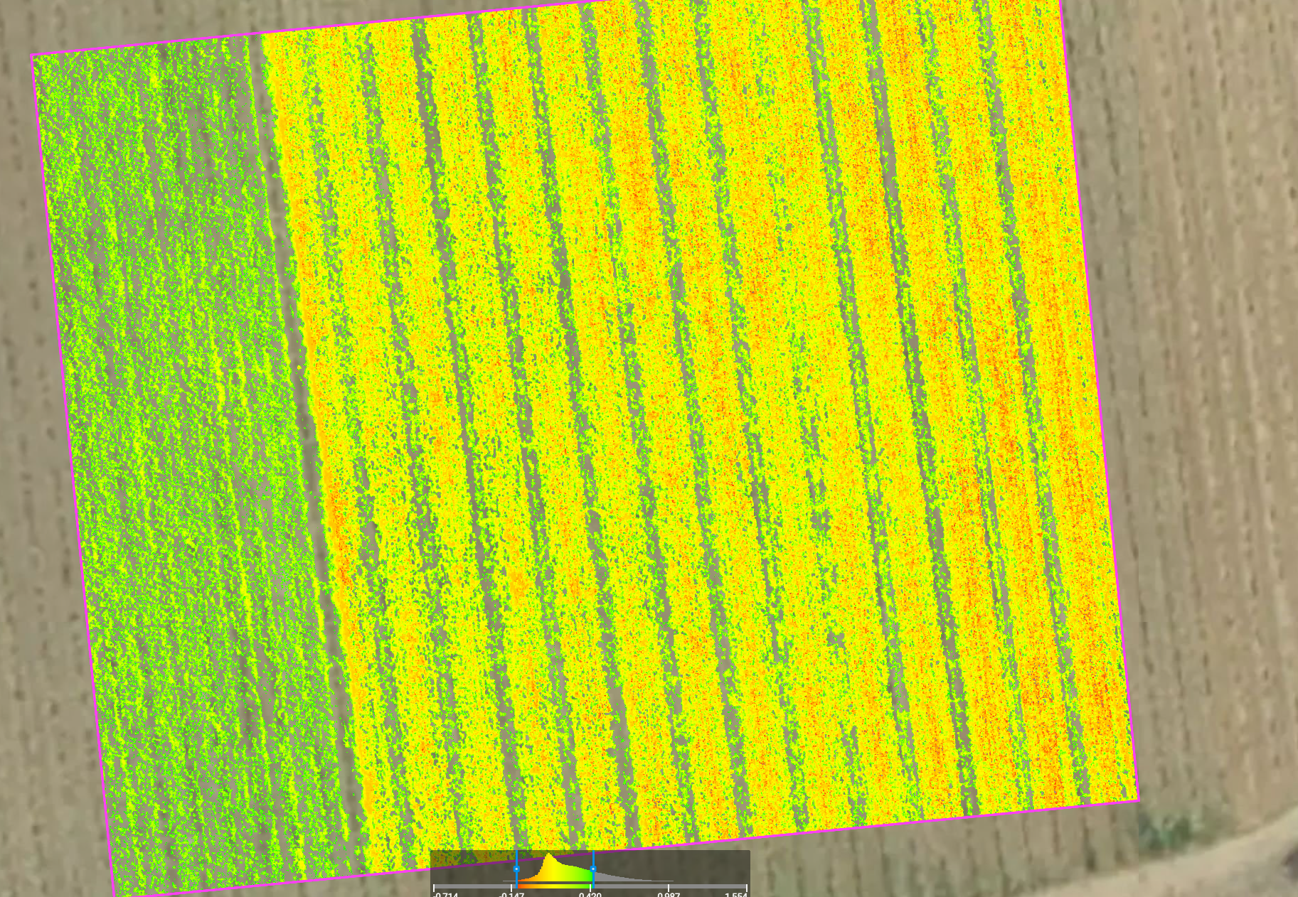 Vigne multispectrale